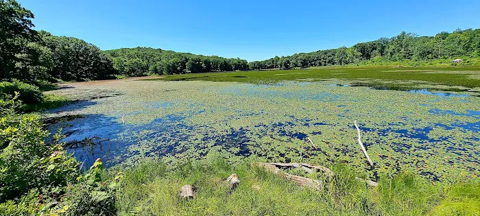 Sawmill Lake Campground Picture 7
