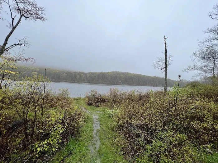 Sawmill Lake Campground Picture 3