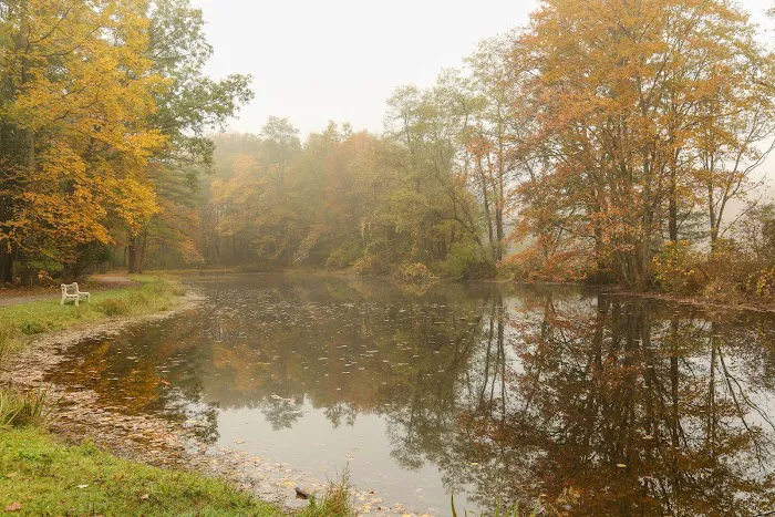Neversink River Resort Picture 10