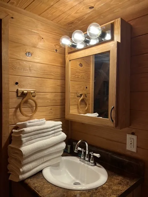Neversink River Resort Picture 9