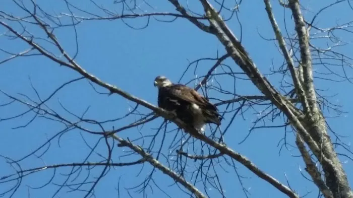 Oakland Valley Campground Picture 9