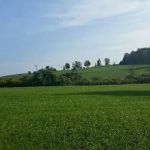 Hidden Hills Country Homes