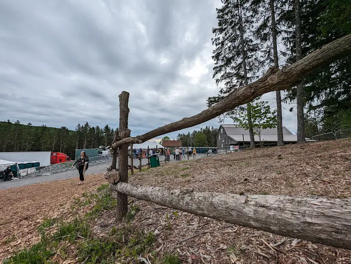 Wonderland Forest Picture 4