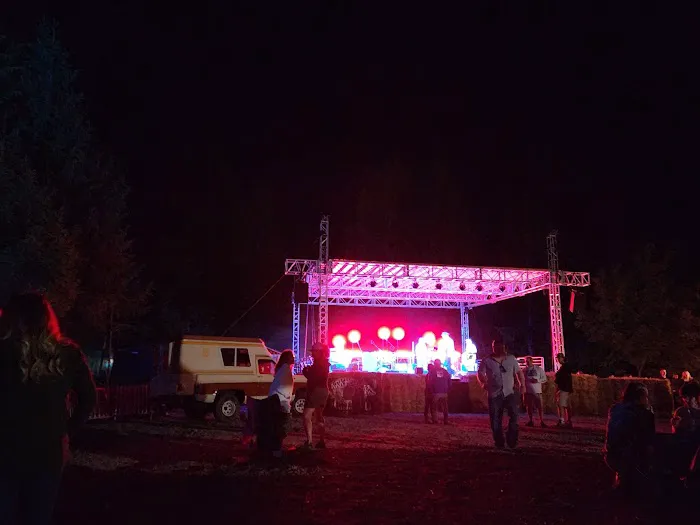 Wonderland Forest Picture 5