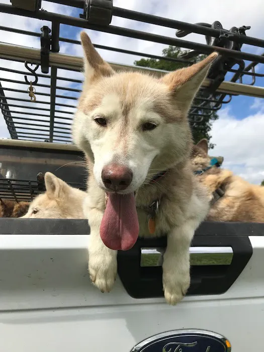 Cooperstown KOA Journey Picture 5