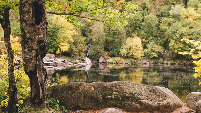3 Acre Woodz Luxury Canvas Lodges Picture 3