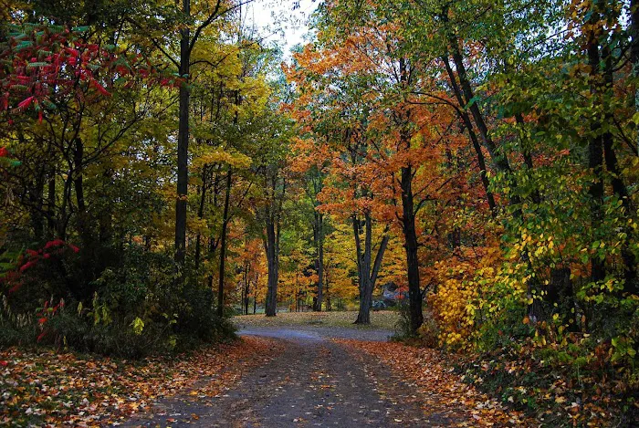Catskill Mountains/ Gilboa KOA Holiday Picture 1