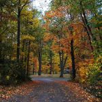 Catskill Mountains/ Gilboa KOA Holiday