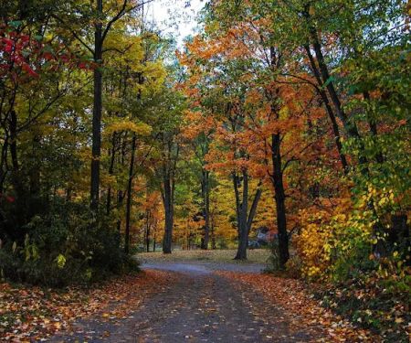 Catskill Mountains/ Gilboa KOA Holiday