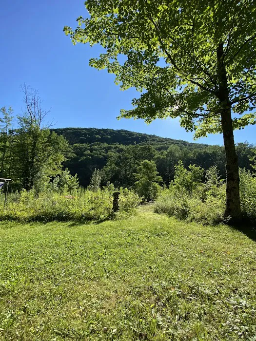 Upper Esopus Creekside Camp Picture 5