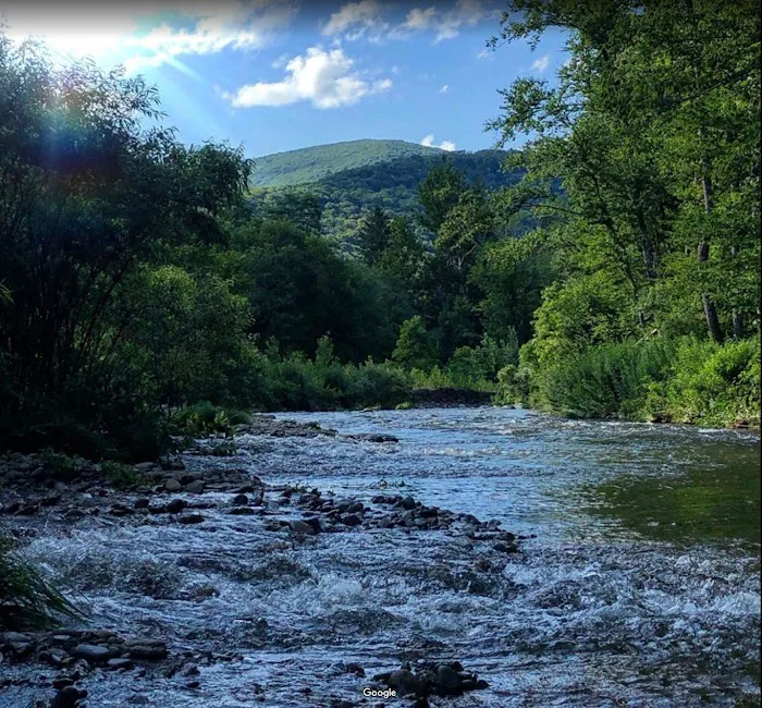 Upper Esopus Creekside Camp Picture 8