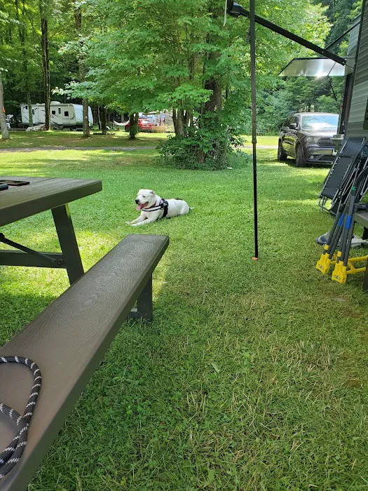 Little Lake Campground Picture 5