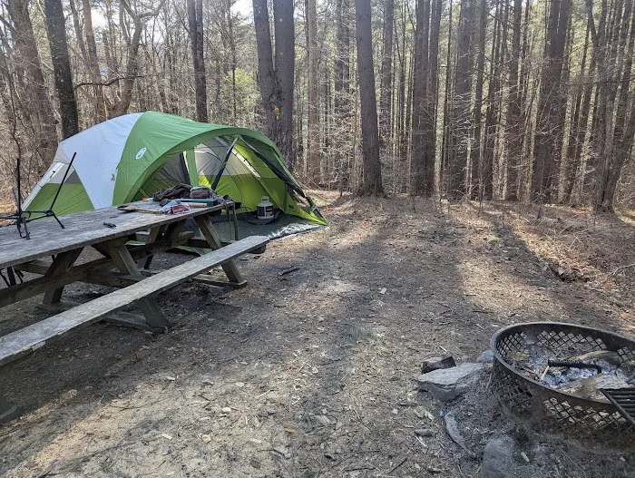 Allaben Campground Picture 6