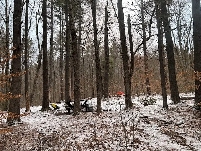 Allaben Campground Picture 2