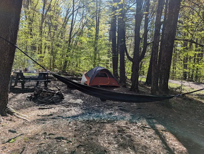 Allaben Campground Picture 4
