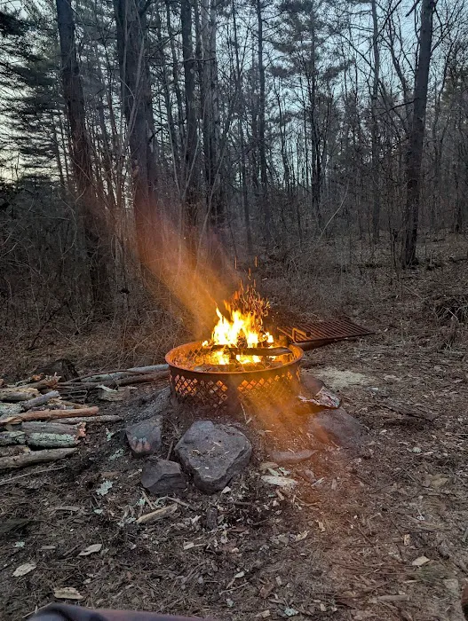 Allaben Campground Picture 7