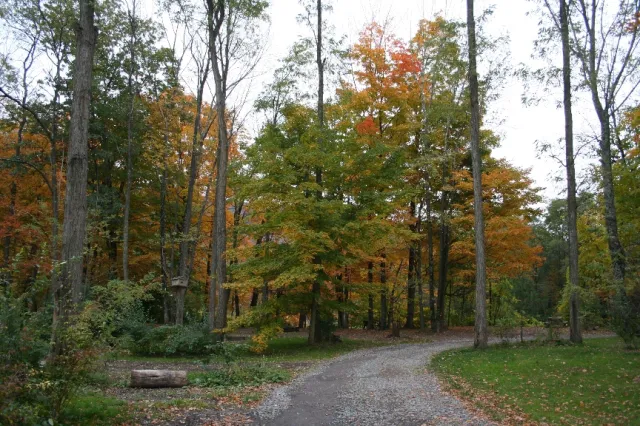 Phoenicia Black Bear Campground Picture 3