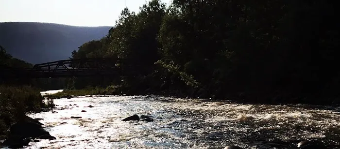 Phoenicia Black Bear Campground Picture 2