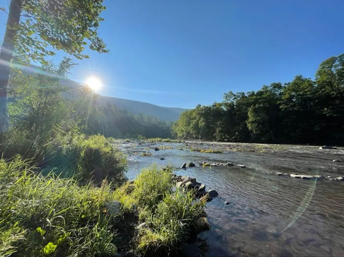 Phoenicia Black Bear Campground Picture 7