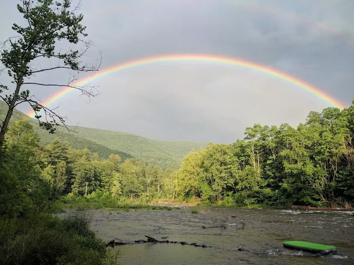 Phoenicia Black Bear Campground Picture 5