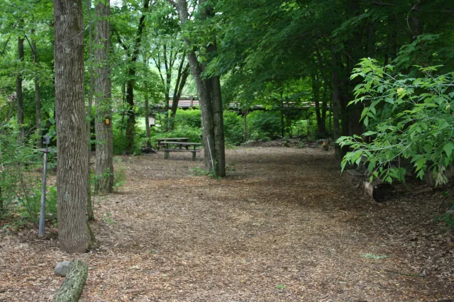 Phoenicia Black Bear Campground Picture 8