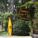 Phoenicia Black Bear Campground