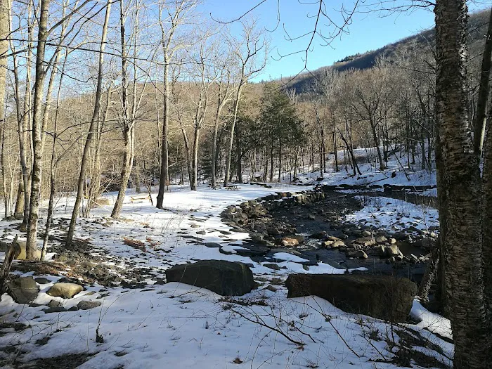 Woodland Valley Campground Picture 3