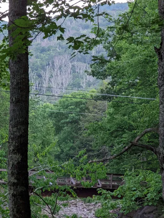 Woodland Valley Campground Picture 2