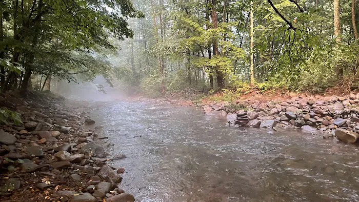 Woodland Valley Campground Picture 4