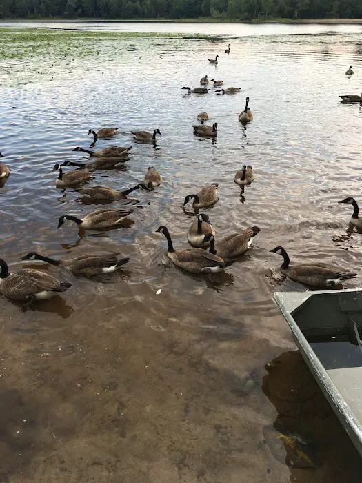 Charlies Lakeside Colony Picture 6