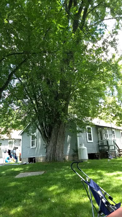Charlies Lakeside Colony Picture 5