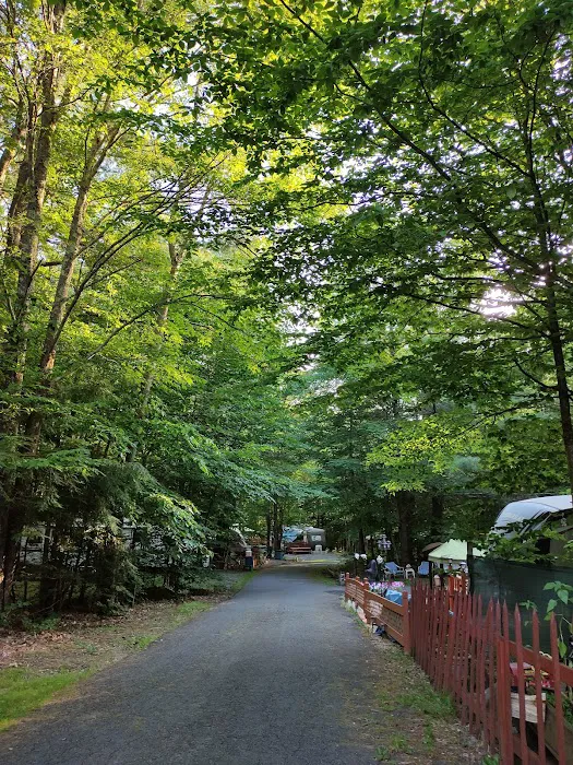 Mountaindale Campground Picture 9
