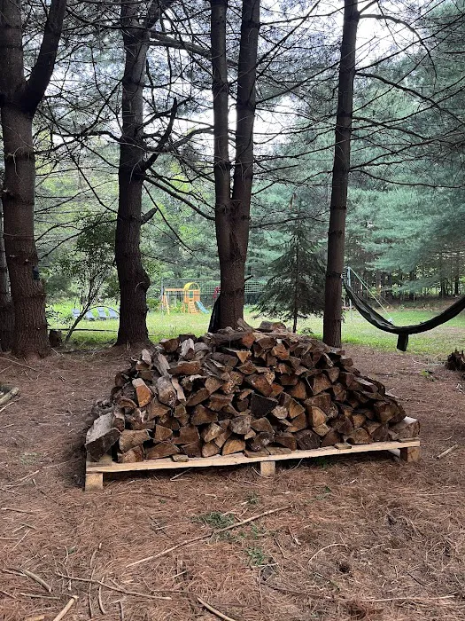 Camp Shabbat Picture 5