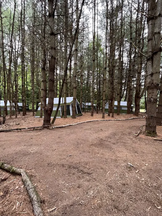 Camp Shabbat Picture 6