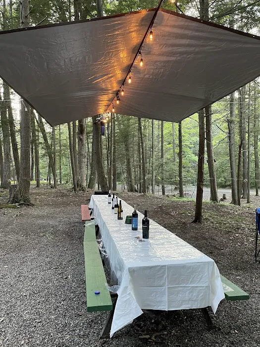 Korn's Shawangunk Kill Campground Picture 2