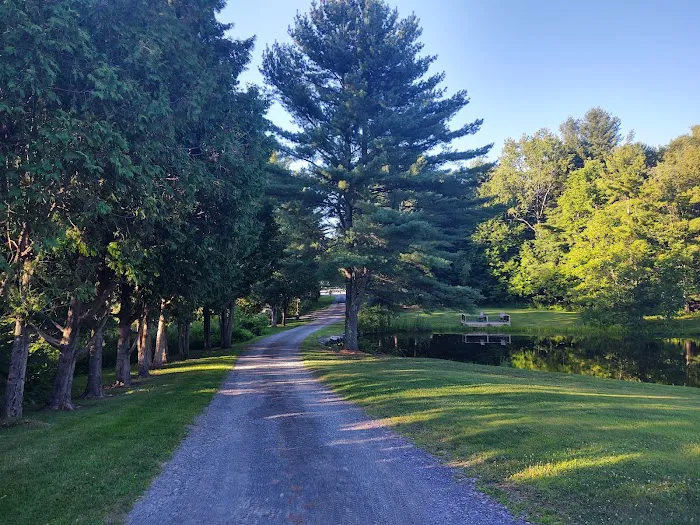 Aurora B's Family Campground Picture 1