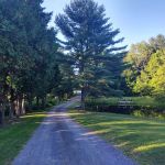 Aurora B's Family Campground