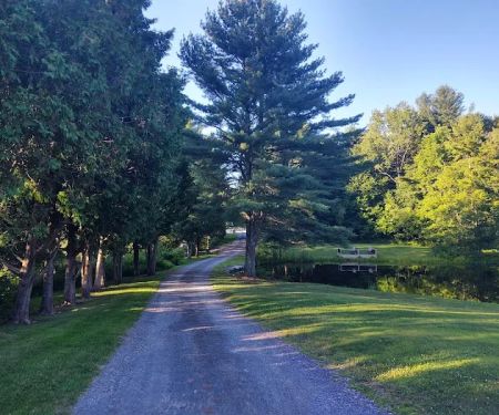 Aurora B's Family Campground