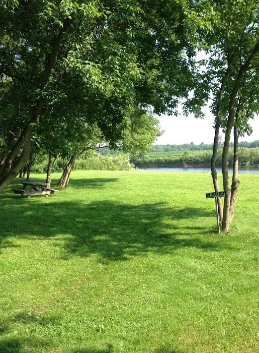 Treasure Isle RV Park Picture 8