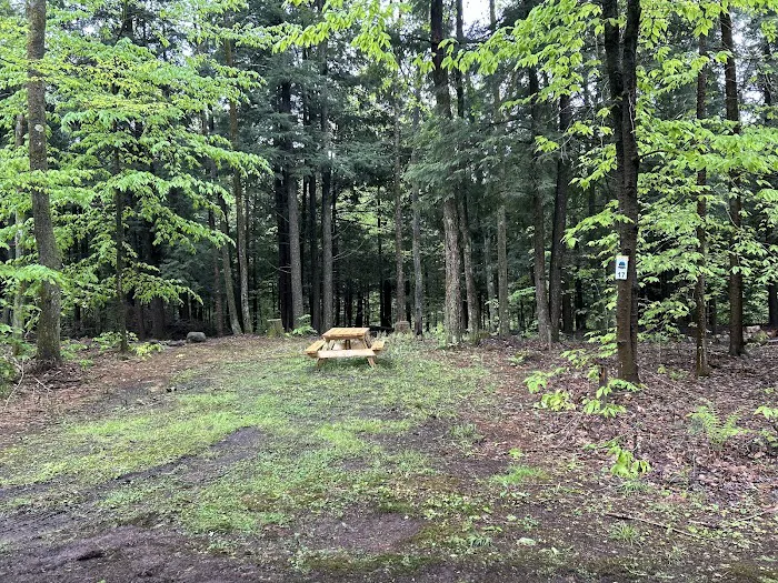 Carterville Acres Campground Picture 1