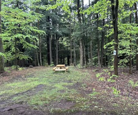 Carterville Acres Campground