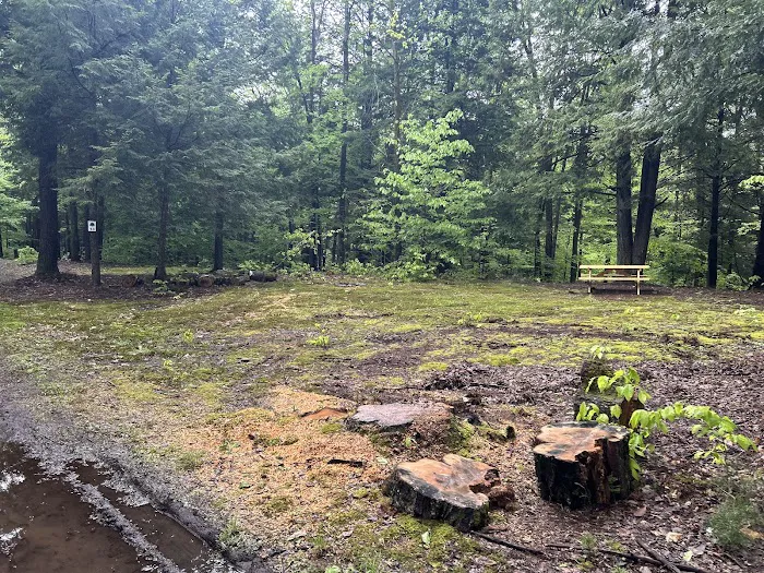 Carterville Acres Campground Picture 7