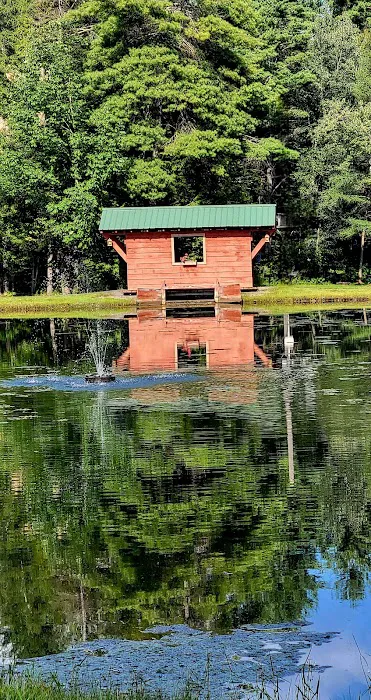 Royal Mountain Campground Picture 6