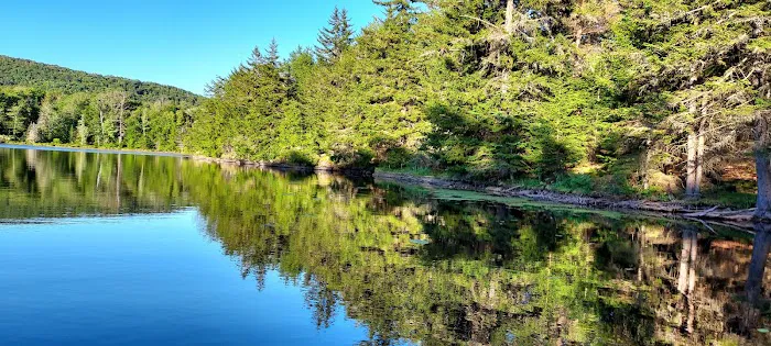 Camp Oh-Neh-Tah🌲 Picture 6