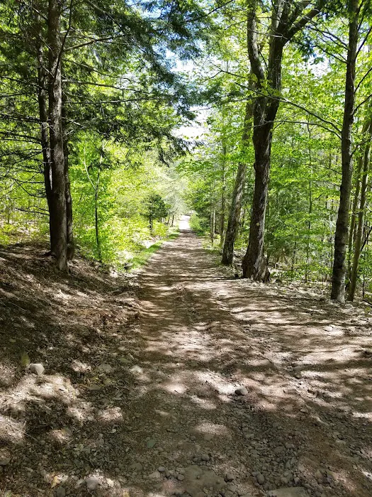 Camp Tri-Mount Picture 1