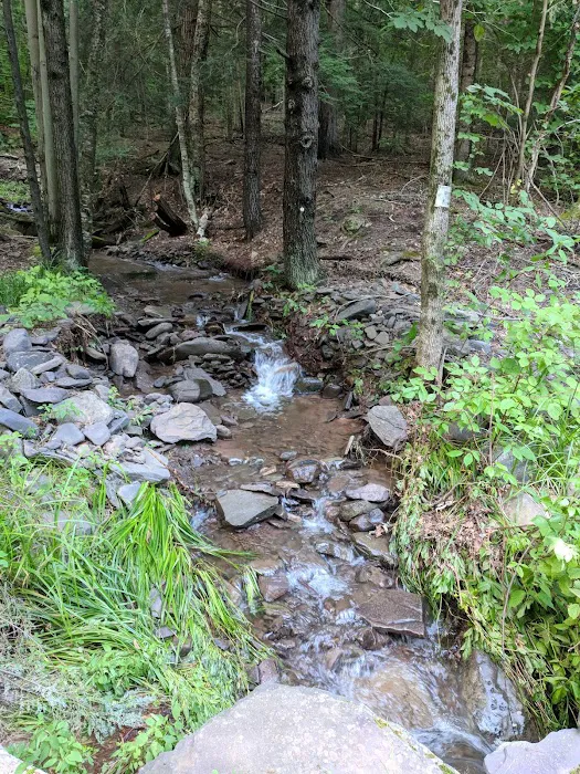 Camp Tri-Mount Picture 8