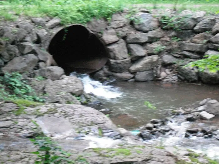 Doherty's Mountain View Campground Picture 8