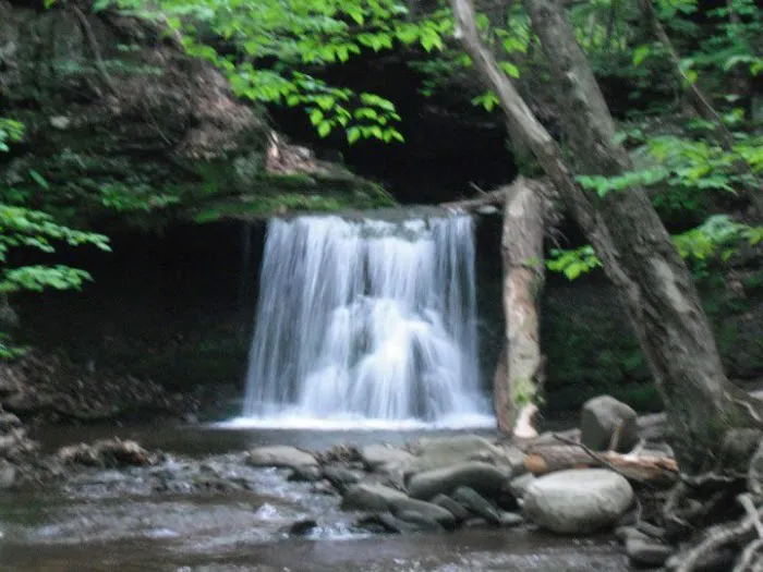 Doherty's Mountain View Campground Picture 7