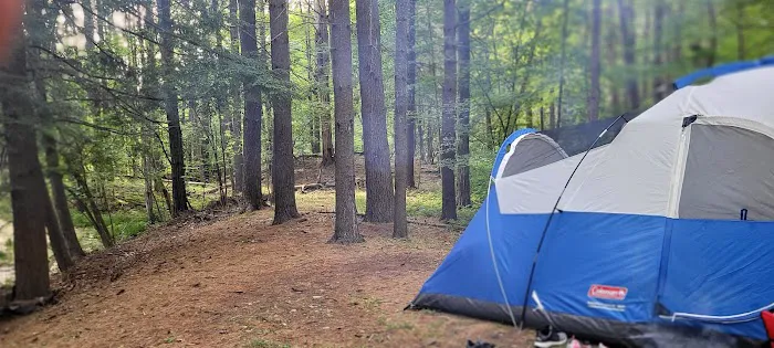 Waterfalls Campsite Picture 4