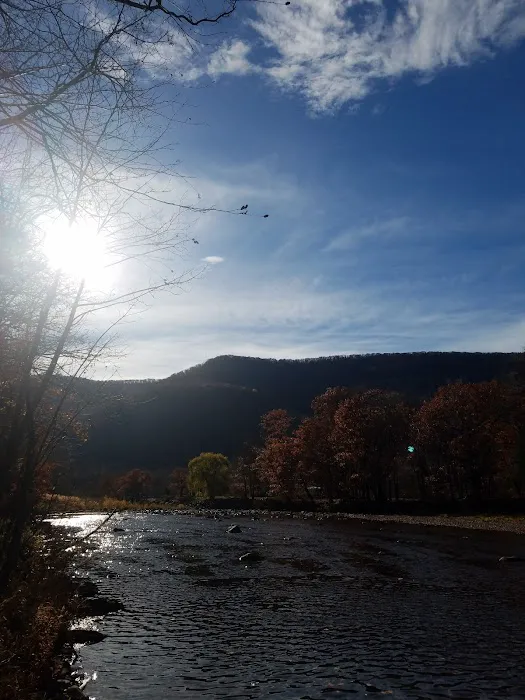Sleepy Hollow Campground Picture 6